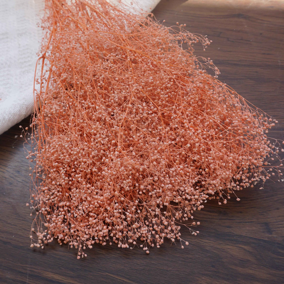 Oldham's Baby's Breath preserved flower