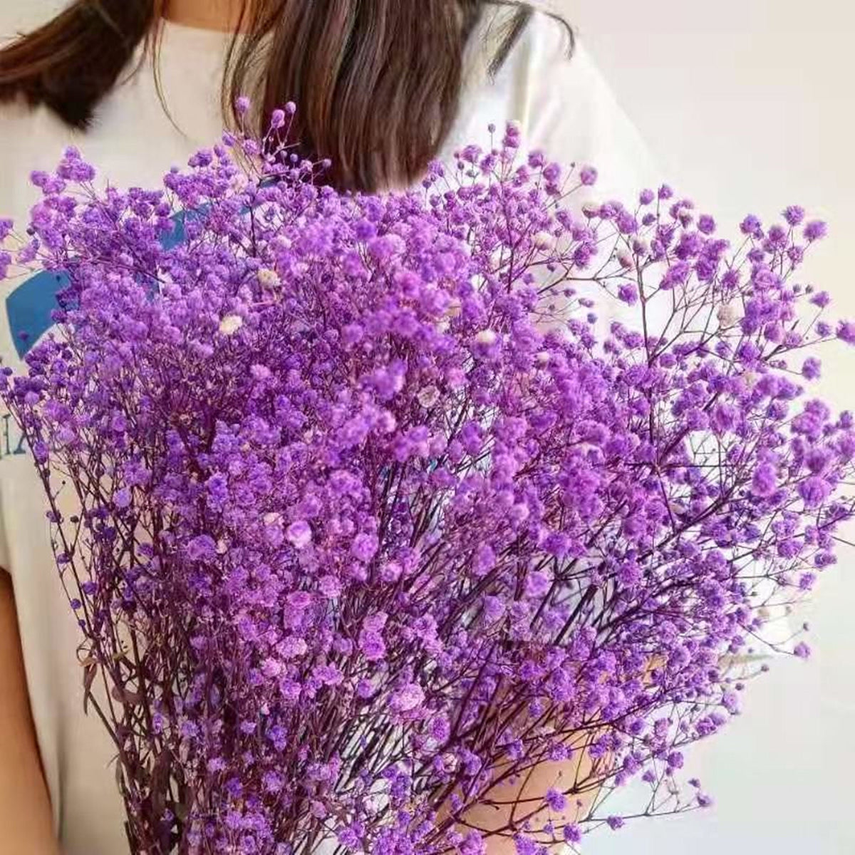 Natural preserved baby's breath bunch, straw colored baby's breath, unbleached baby's breath, natural gypsophilia, preserved gypsophilia -PAMPAS grass wholesale and dried flowers wholesale ne