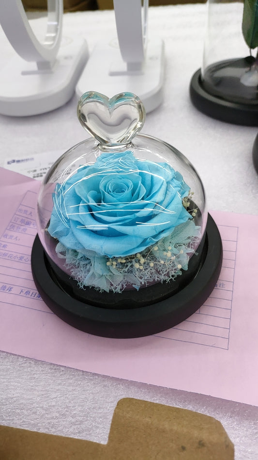 DuHouse Forever Roses Preserved Real Flowers Eternal Enchanted Rose Flower Box Gift for Valentines Birthday Anniversary Mother's Day (Tiffany Blue)