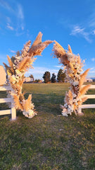 Pampas Grass, Dried, Fluffy Plumes - for wedding party home