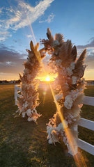 Pampas Grass, Dried, Fluffy Plumes - for wedding party home
