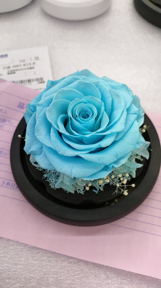 DuHouse Forever Roses Preserved Real Flowers Eternal Enchanted Rose Flower Box Gift for Valentines Birthday Anniversary Mother's Day (Tiffany Blue)