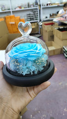 DuHouse Forever Roses Preserved Real Flowers Eternal Enchanted Rose Flower Box Gift for Valentines Birthday Anniversary Mother's Day (Tiffany Blue)
