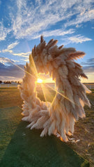 Pampas Grass, Dried, Fluffy Plumes - for wedding party home