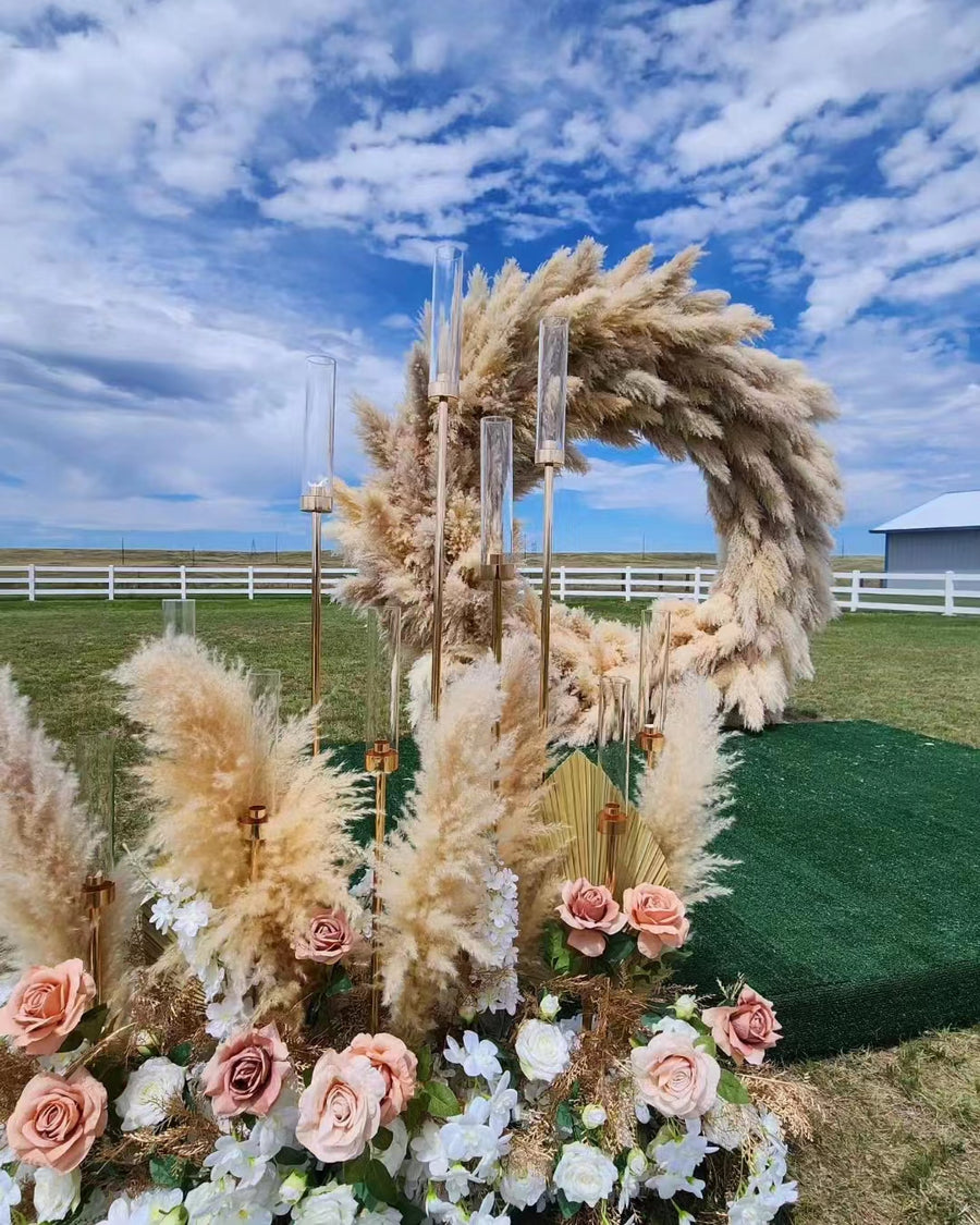 Pampas Grass, Dried, Fluffy Plumes - for wedding party home
