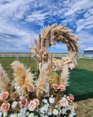 Pampas Grass, Dried, Fluffy Plumes - for wedding party home