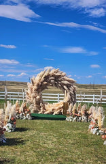 Pampas Grass, Dried, Fluffy Plumes - for wedding party home