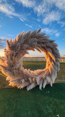 Pampas Grass, Dried, Fluffy Plumes - for wedding party home