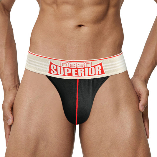 0850 temu source high fork briefs sexy low rise cotton breathable large bag sports fitness anti-wear leg BS844