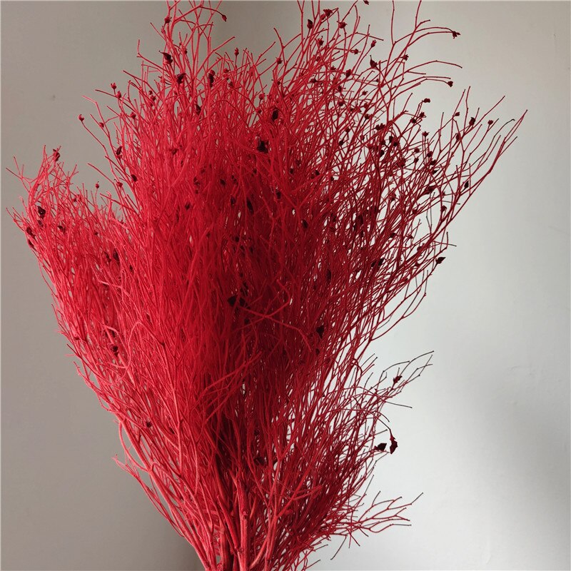 home decoration,Christmas,Wedding Celebration| pampas grass wholesale | dried flowers wholesale -PAMPAS grass wholesale and dried flowers wholesale near me