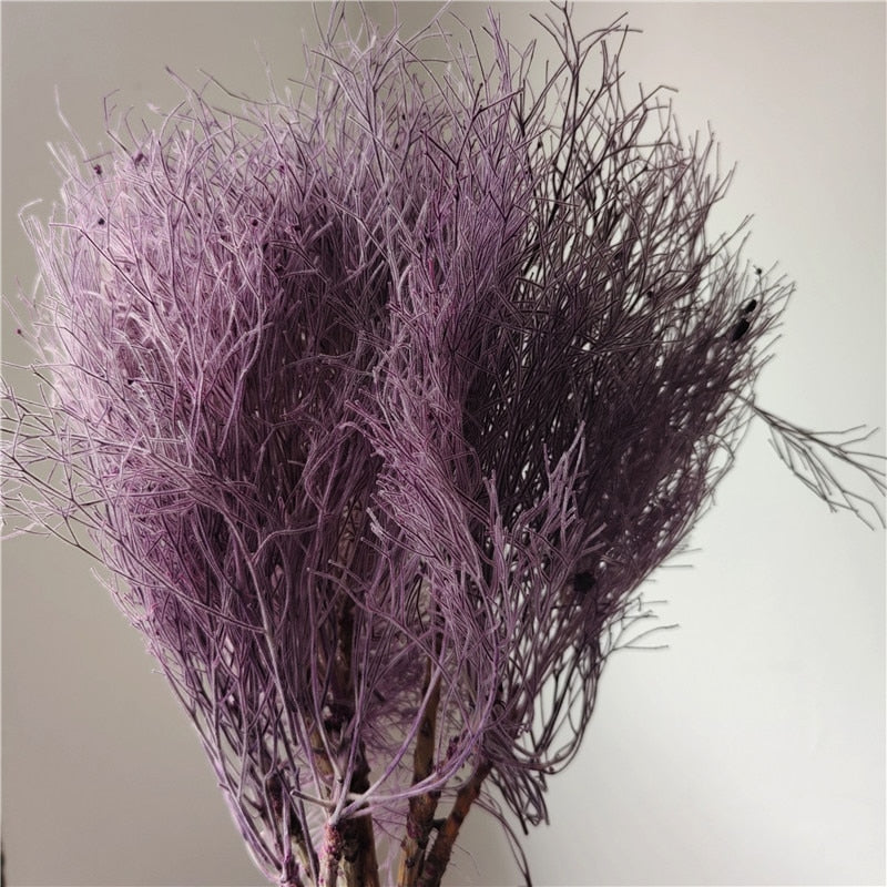 home decoration,Christmas,Wedding Celebration| pampas grass wholesale | dried flowers wholesale -PAMPAS grass wholesale and dried flowers wholesale near me