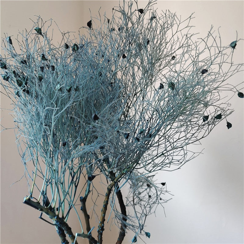 home decoration,Christmas,Wedding Celebration| pampas grass wholesale | dried flowers wholesale -PAMPAS grass wholesale and dried flowers wholesale near me