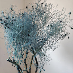 home decoration,Christmas,Wedding Celebration| pampas grass wholesale | dried flowers wholesale -PAMPAS grass wholesale and dried flowers wholesale near me