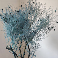 home decoration,Christmas,Wedding Celebration| pampas grass wholesale | dried flowers wholesale -PAMPAS grass wholesale and dried flowers wholesale near me
