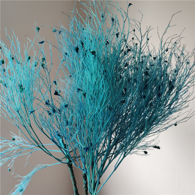 home decoration,Christmas,Wedding Celebration| pampas grass wholesale | dried flowers wholesale -PAMPAS grass wholesale and dried flowers wholesale near me