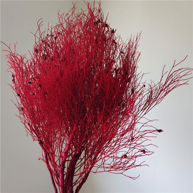 home decoration,Christmas,Wedding Celebration| pampas grass wholesale | dried flowers wholesale -PAMPAS grass wholesale and dried flowers wholesale near me