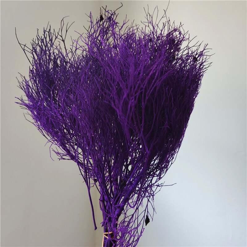 home decoration,Christmas,Wedding Celebration| pampas grass wholesale | dried flowers wholesale -PAMPAS grass wholesale and dried flowers wholesale near me