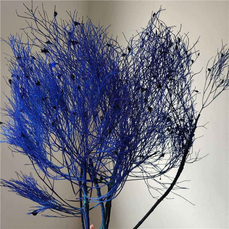 home decoration,Christmas,Wedding Celebration| pampas grass wholesale | dried flowers wholesale -PAMPAS grass wholesale and dried flowers wholesale near me