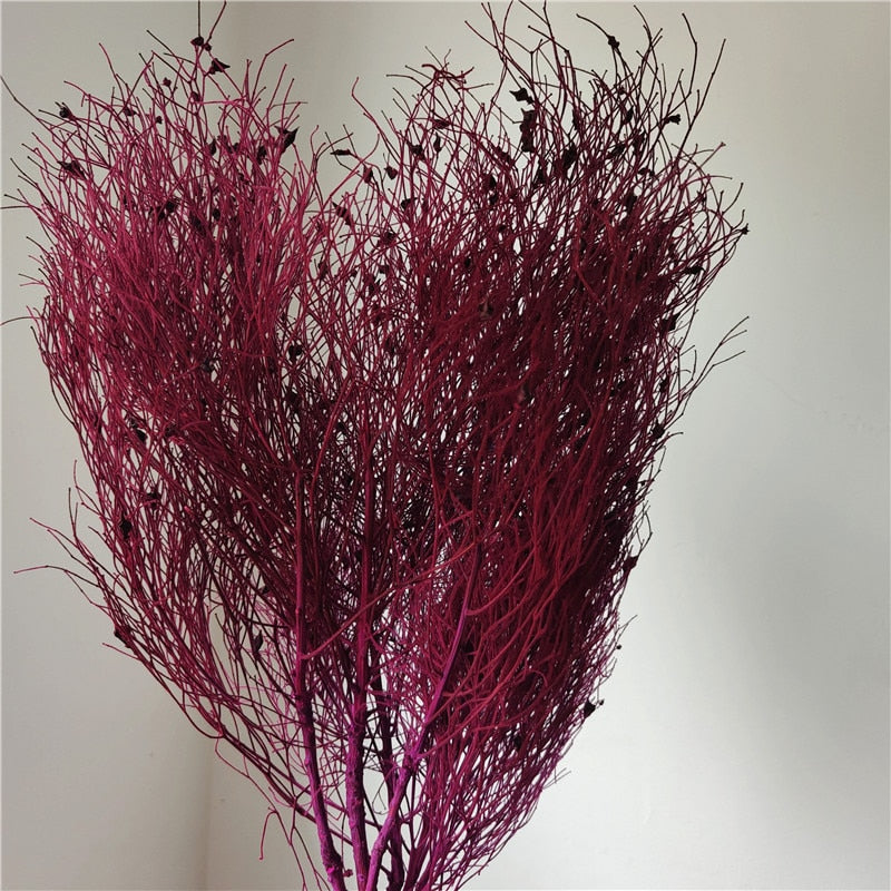 home decoration,Christmas,Wedding Celebration| pampas grass wholesale | dried flowers wholesale -PAMPAS grass wholesale and dried flowers wholesale near me