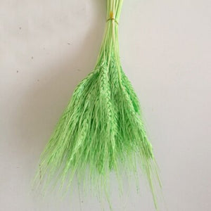 Barley dried approx. 100 stems Cereals Dried flowers Flowers Dry bouquet approx. 60 cm long -PAMPAS grass wholesale and dried flowers wholesale near me