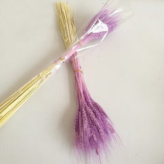 Barley dried approx. 100 stems Cereals Dried flowers Flowers Dry bouquet approx. 60 cm long -PAMPAS grass wholesale and dried flowers wholesale near me