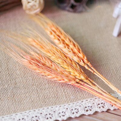 Barley dried approx. 100 stems Cereals Dried flowers Flowers Dry bouquet approx. 60 cm long -PAMPAS grass wholesale and dried flowers wholesale near me