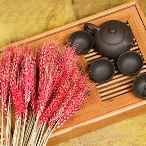 Barley dried approx. 100 stems Cereals Dried flowers Flowers Dry bouquet approx. 60 cm long -PAMPAS grass wholesale and dried flowers wholesale near me