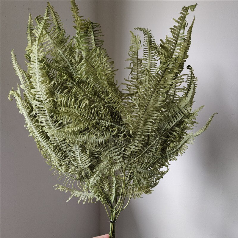 10pcs/20*40cm,Eternal dicranopteris dichotoma fern leaf glass cover floating flower Dried flower wedding home decoration bouquet wholesale -PAMPAS grass wholesale and dried flowers wholesale 