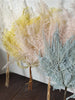 10pcs/20*40cm,Eternal dicranopteris dichotoma fern leaf glass cover floating flower Dried flower wedding home decoration bouquet wholesale -PAMPAS grass wholesale and dried flowers wholesale 