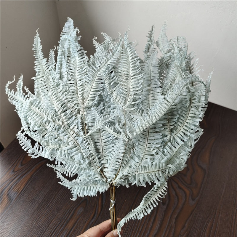 10pcs/20*40cm,Eternal dicranopteris dichotoma fern leaf glass cover floating flower Dried flower wedding home decoration bouquet wholesale -PAMPAS grass wholesale and dried flowers wholesale 