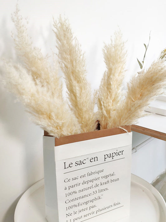 5 stems 23 inchs South American prairie beach-themed reed grass reed cane flower dried reed long grass long stem,Wedding day flower. -PAMPAS grass wholesale and dried flowers wholesale near m