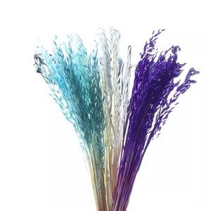 Dried weat ,dried flower .