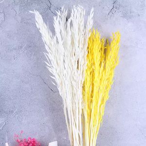 Dried weat ,dried flower .