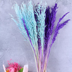 Dried weat ,dried flower .
