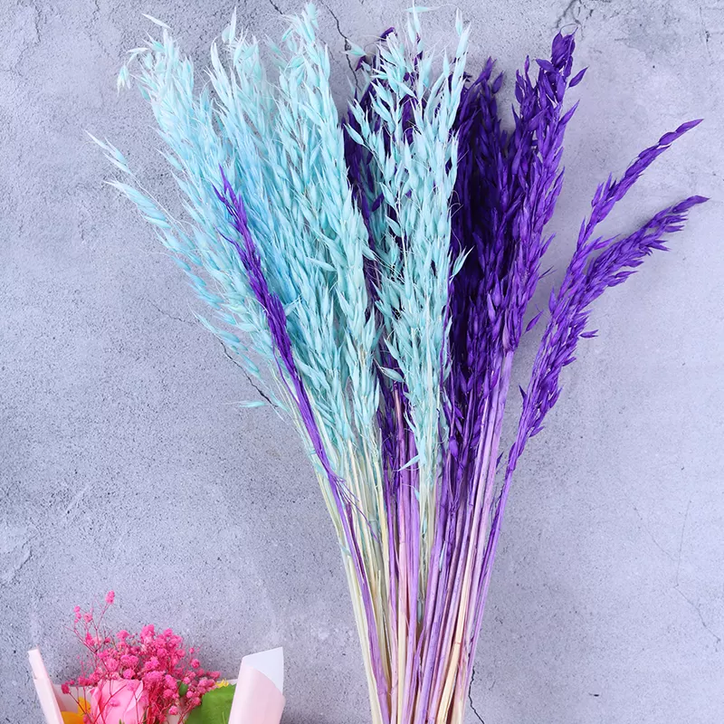 Dried weat ,dried flower .