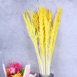 Dried weat ,dried flower .