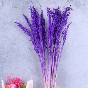 Dried weat ,dried flower .