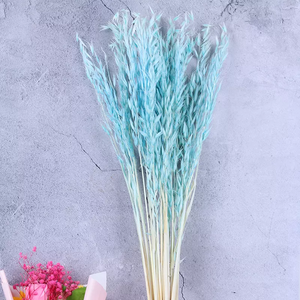 Dried weat ,dried flower .