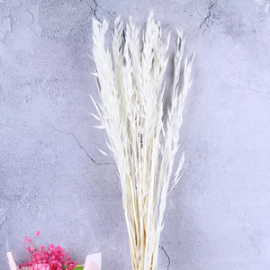 Dried weat ,dried flower .