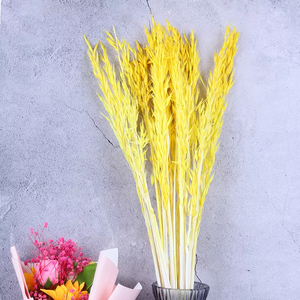 Dried weat ,dried flower .