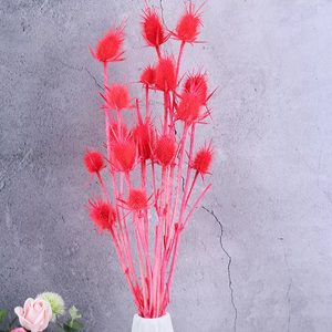 Eryngium foetidum，dried flower