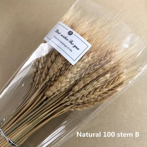 Dried weat ,dried flower