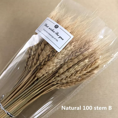 Dried weat ,dried flower
