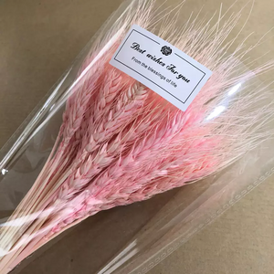 Dried weat ,dried flower