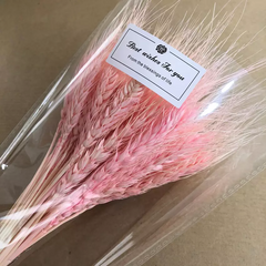 Dried weat ,dried flower