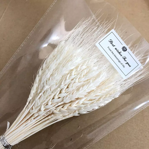 Dried weat ,dried flower