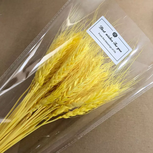 Dried weat ,dried flower