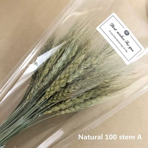 Dried weat ,dried flower