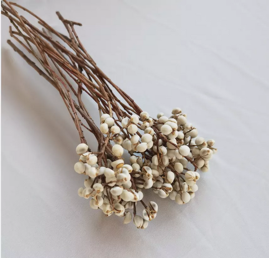 white color  dried flower home decor materials