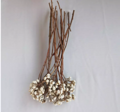 white color  dried flower home decor materials